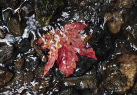 水质在线监测常见的水污染指标有哪些? 水质在线监测常见的水污染指标有哪些?